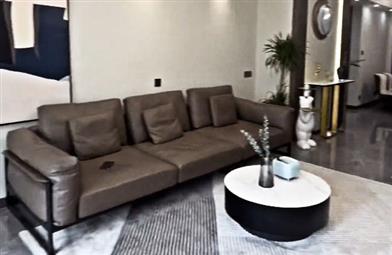 大誠金廷7-03吳總雅居