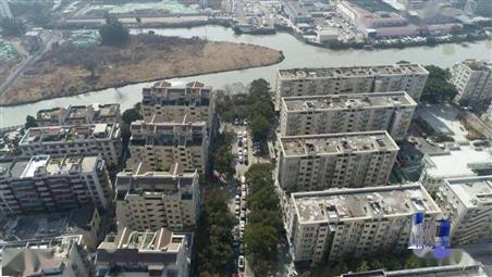 魚鱗浹組團(tuán)