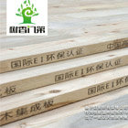 樹香門第項目正式全面啟動！